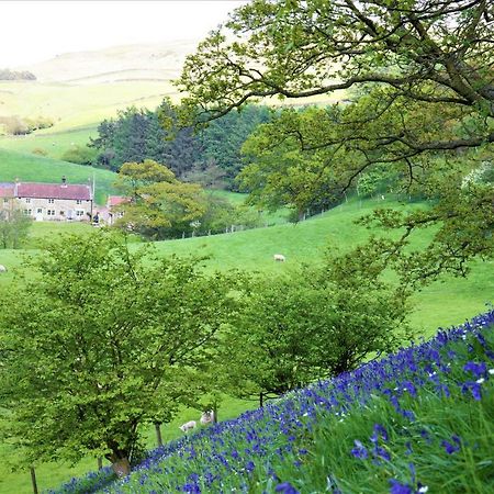 Bluebells Cottage Chop Gate ภายนอก รูปภาพ